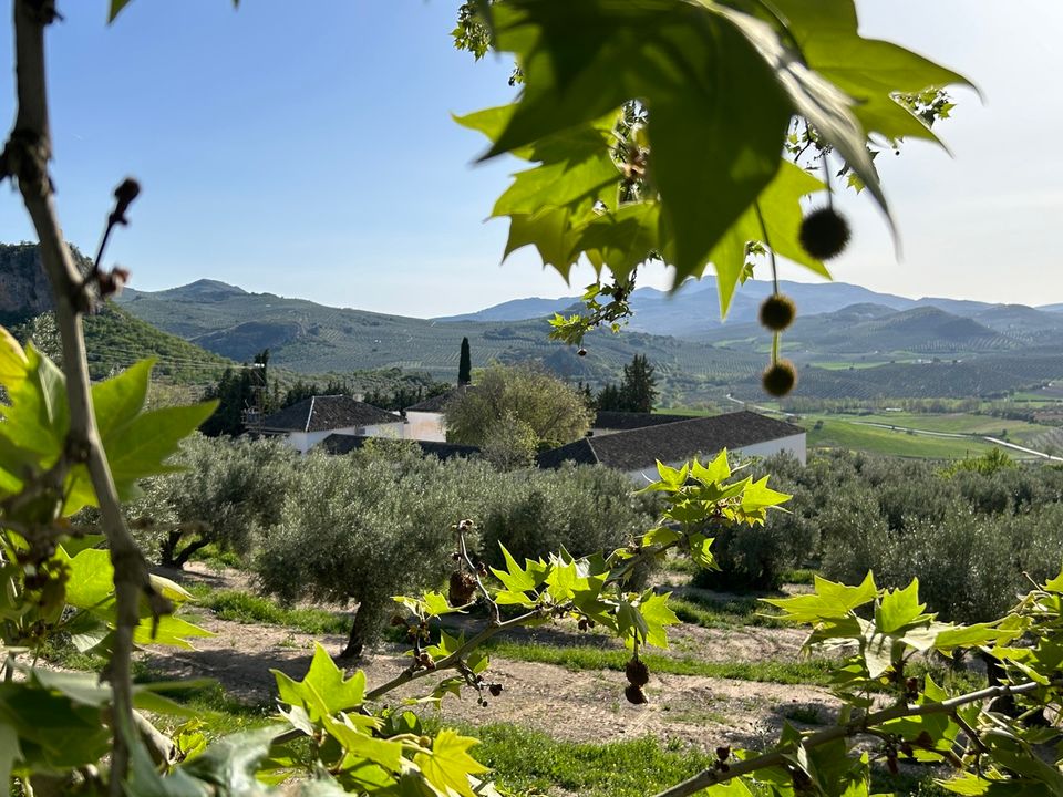 Cortijo i Moclin, Granada - bilde 4